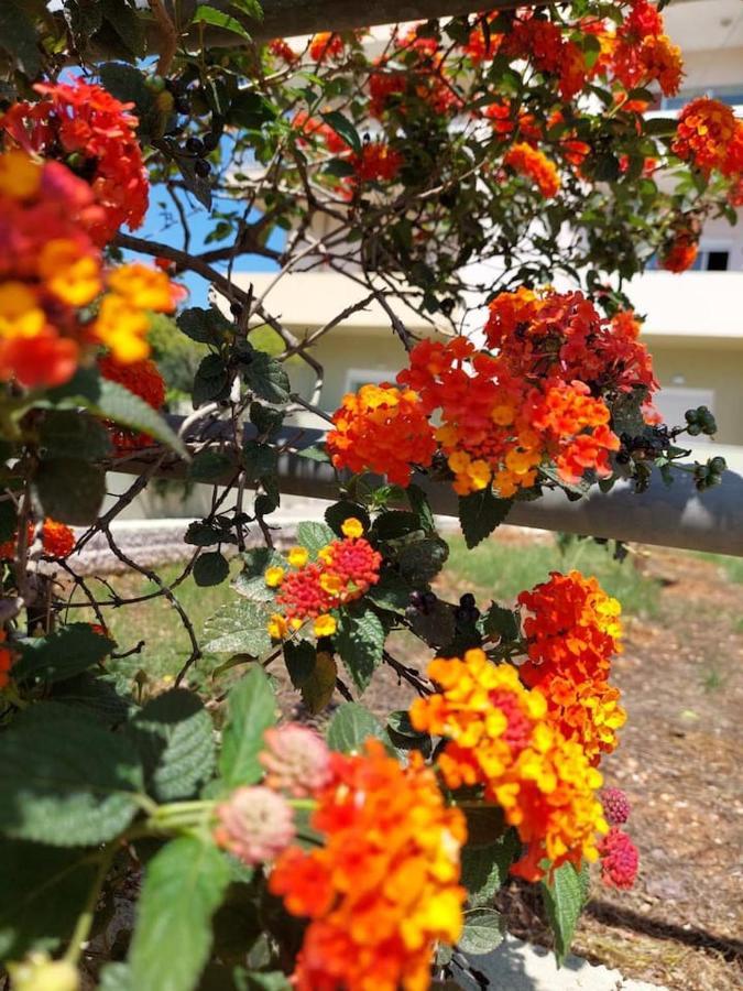 Appartement Dimageo Life Chania (Crete)