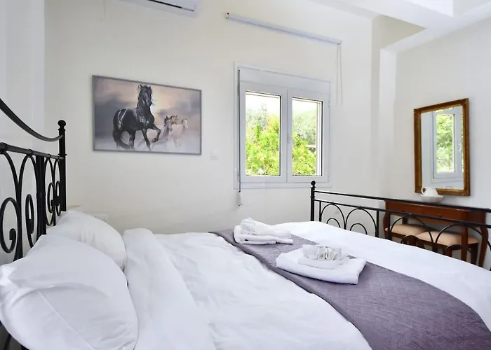 Dimageo Life Studio Apartment